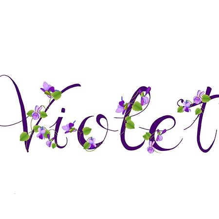 Appartamento Violet - Parma Esterno foto